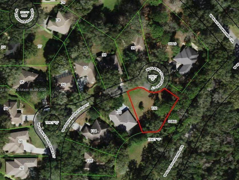 2940 Plantation Pines Ct - Photo 1