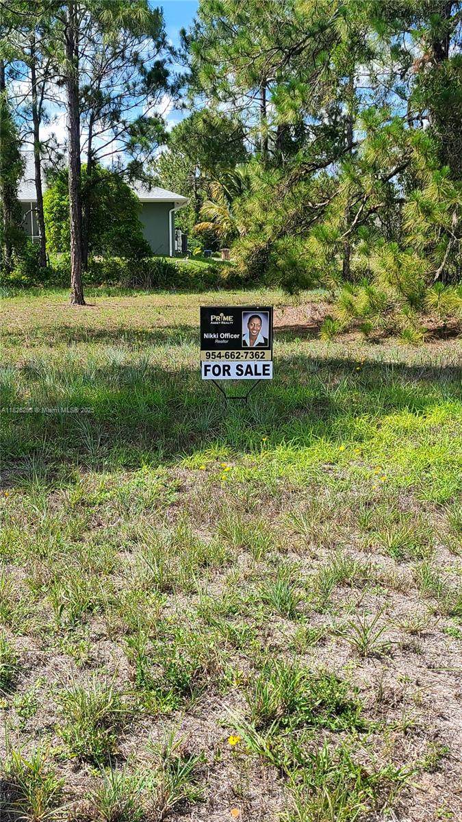 653 Jaguar Blvd - Photo 1
