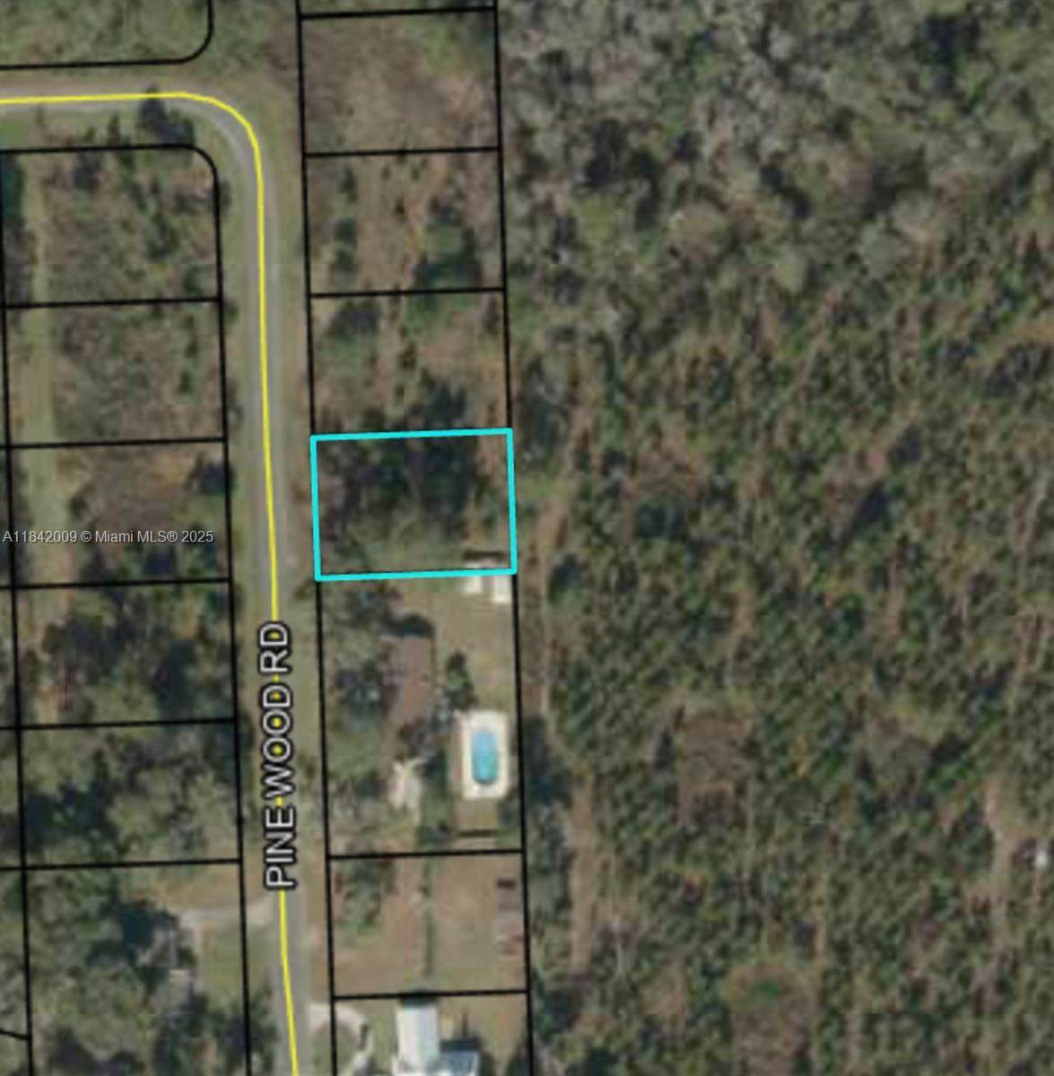 641 Pine Wood Rd - Photo 1