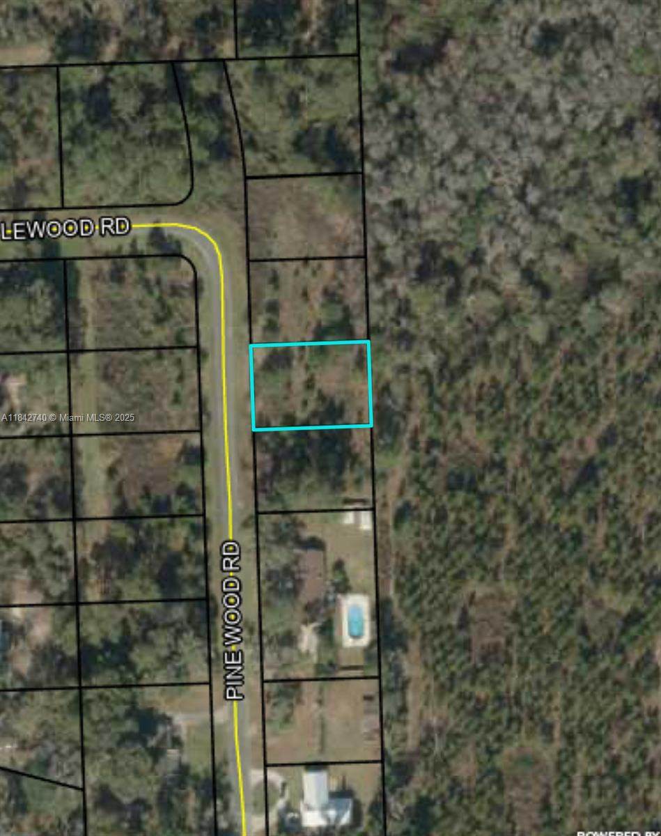 649 Pine Wood Rd - Photo 1