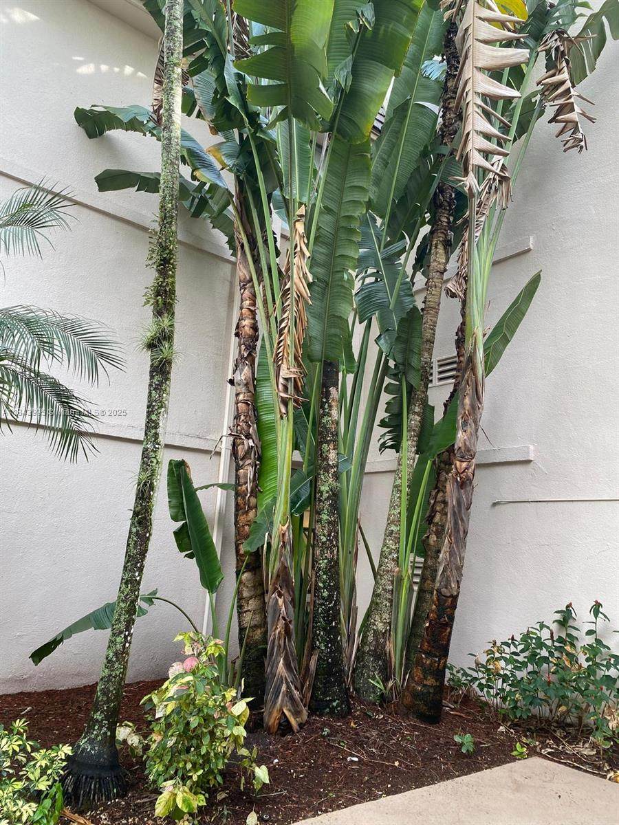 8411 Forest Hills Dr - Photo 1