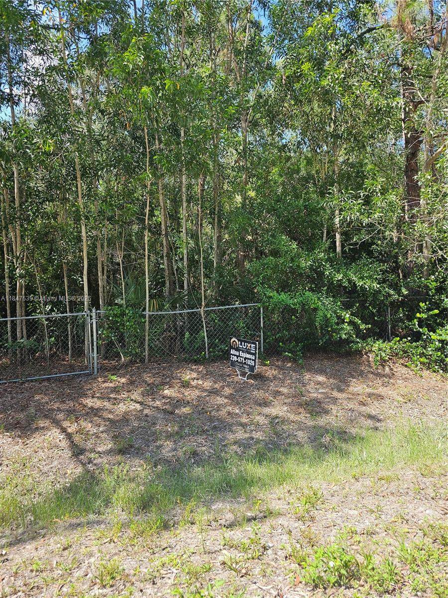xxxx 63rd Lane N - Photo 1
