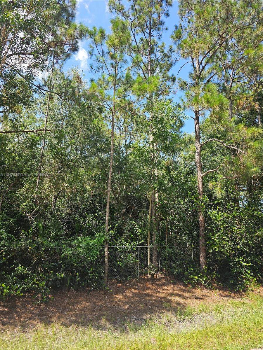 https://bt-photos.global.ssl.fastly.net/miami/orig_boomver_1_A11847539-2.jpg