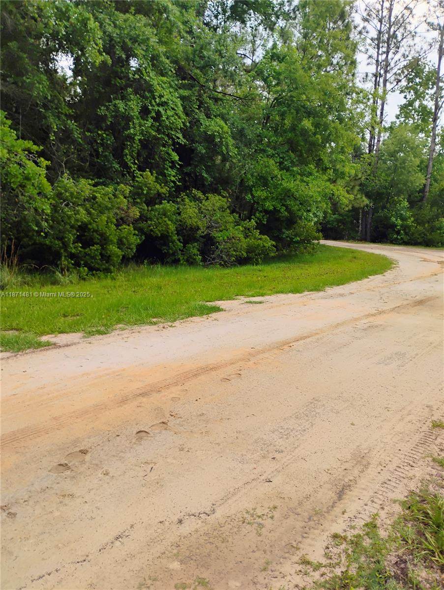 228 Atkins - Photo 1