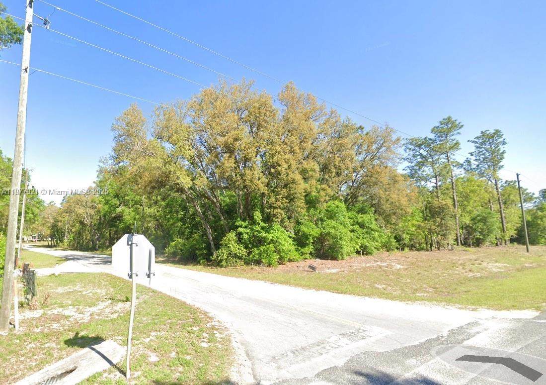 Lot 2 1st Street - Photo 1