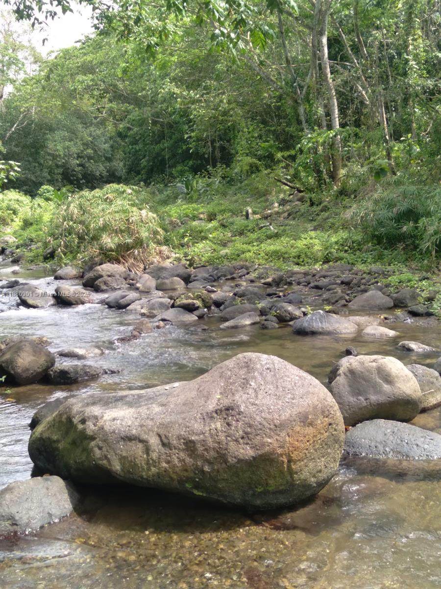 00 St. Mary, Jamaica - Photo 1