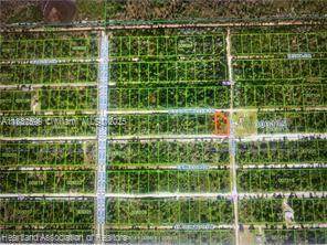 0 Bougainvillea Drive - Photo 1