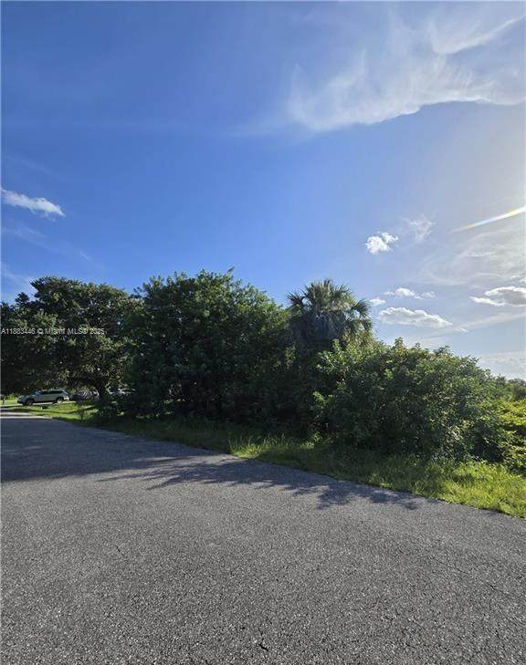 1517 Scott Ave - Photo 1