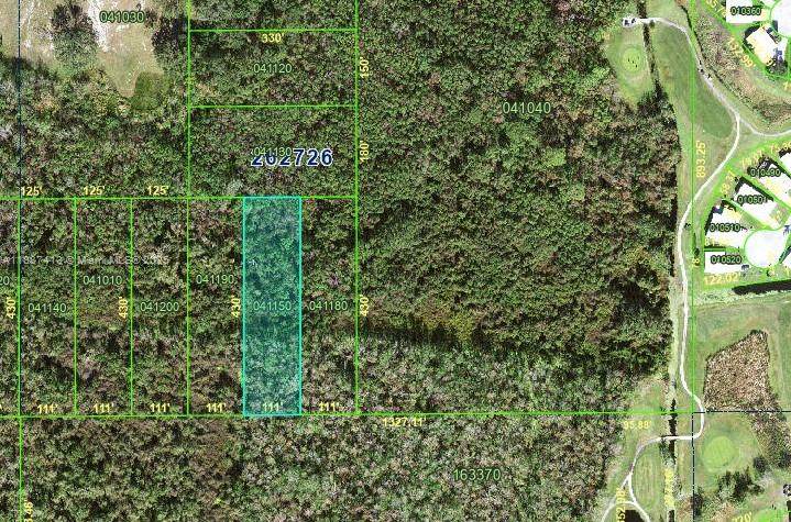 0 Us Highway 17 - Photo 1