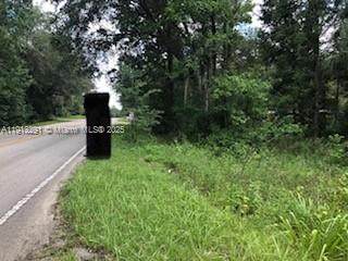 19220 N Highway 329 - Photo 1