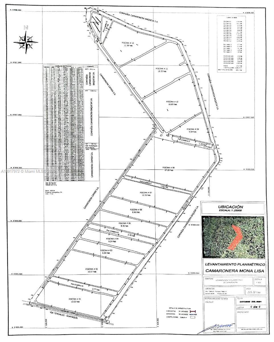 Via Tendales - Guaya Tendales - El Guabo - El Oro - Photo 1