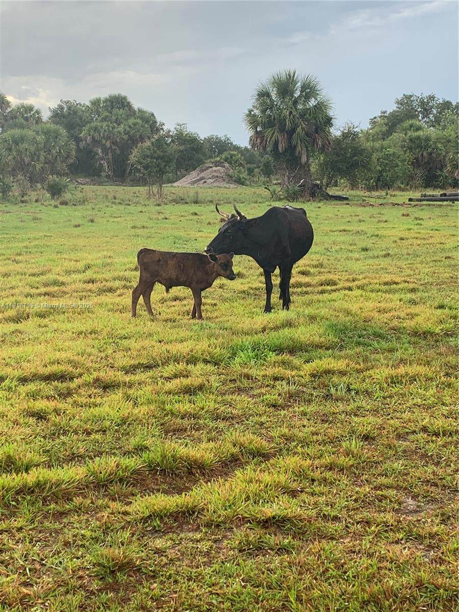 1425 Cabbage Ln - Photo 1