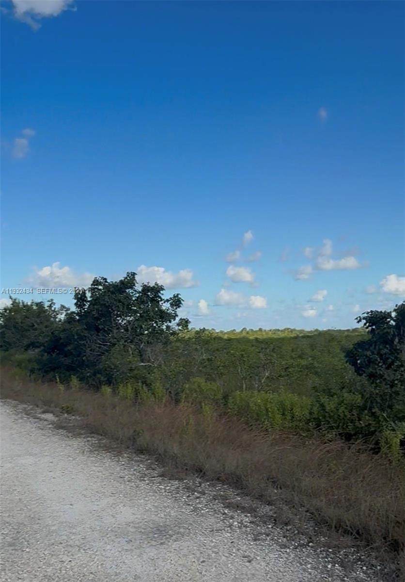 https://bt-photos.global.ssl.fastly.net/miami/orig_boomver_1_A11932434-2.jpg