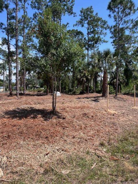 https://bt-photos.global.ssl.fastly.net/miami/orig_boomver_1_A11977187-2.jpg