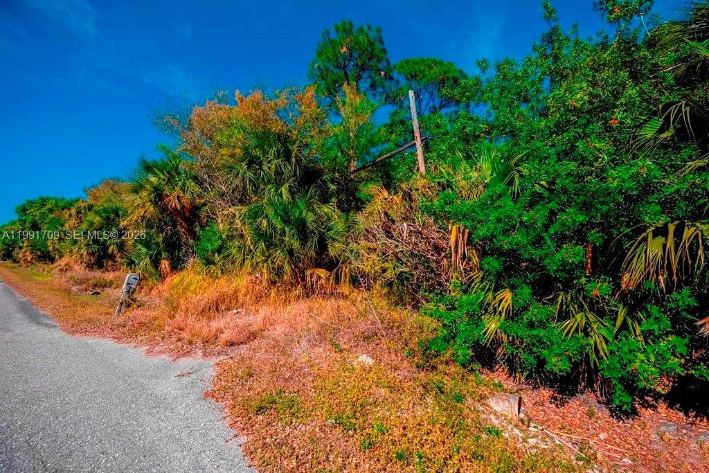 https://bt-photos.global.ssl.fastly.net/miami/1280_boomver_1_A11991709-2.jpg