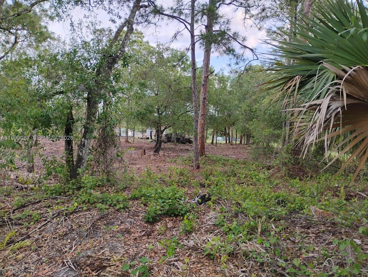 845 Appaloosa Avenue - Photo 1