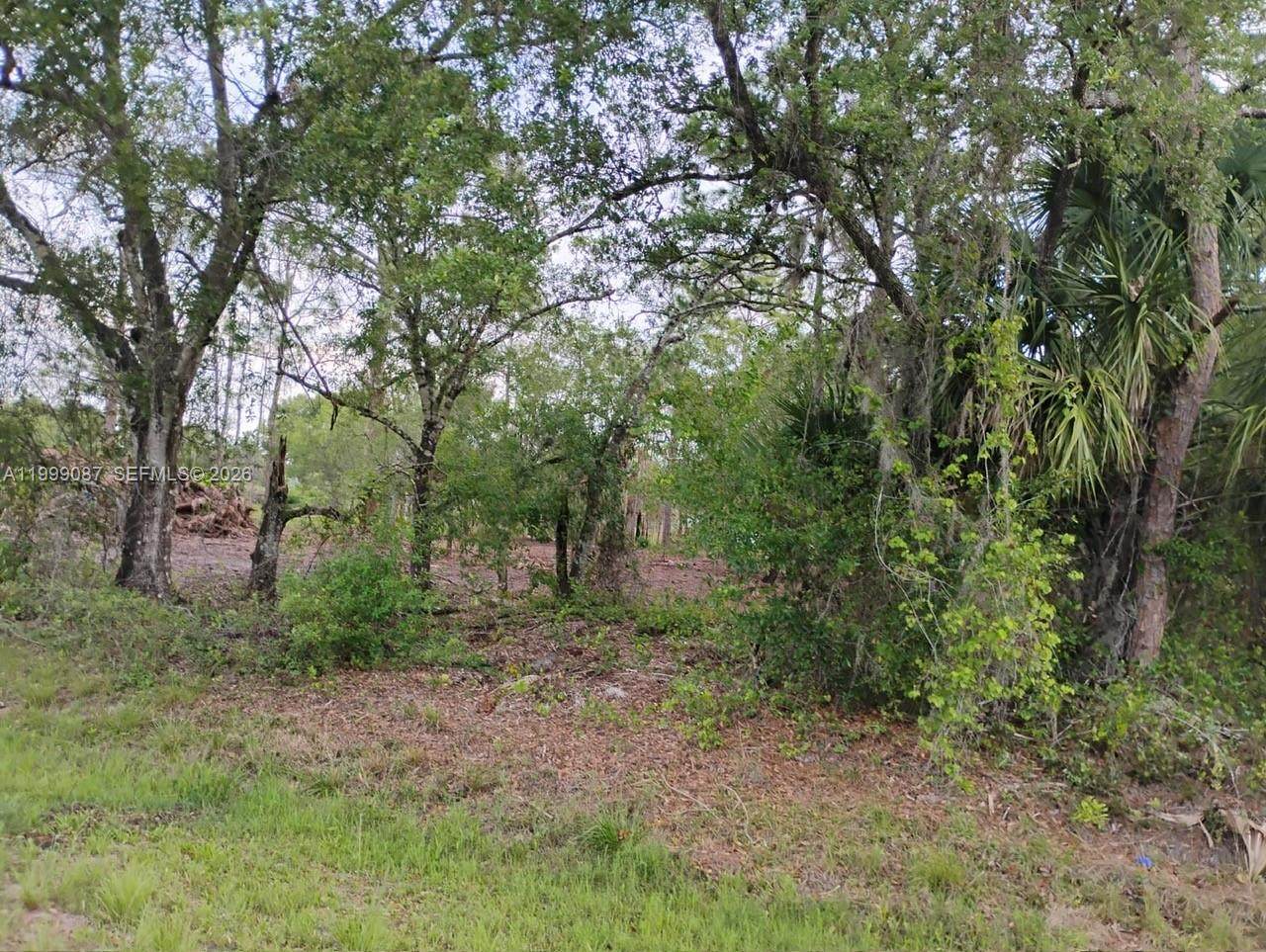 https://bt-photos.global.ssl.fastly.net/miami/orig_boomver_1_A11999087-2.jpg