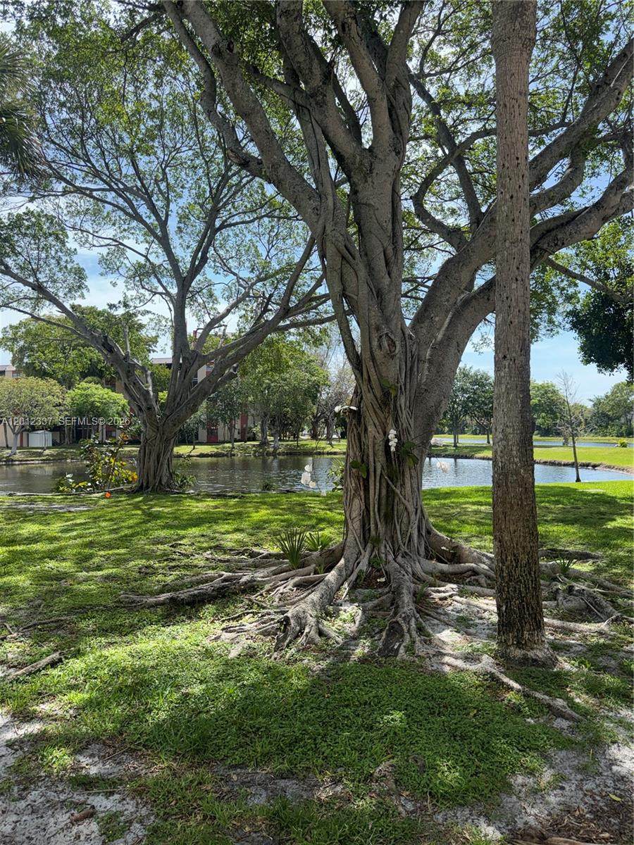 https://bt-photos.global.ssl.fastly.net/miami/orig_boomver_1_A12012337-2.jpg