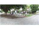 335 114th St - Photo 6