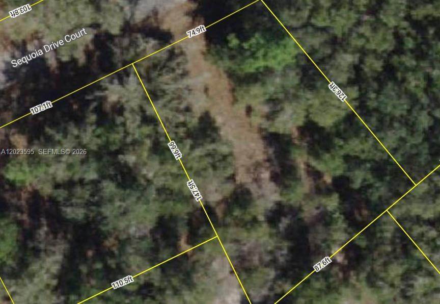 Lot 14 Sequoia Drive Court - Photo 1