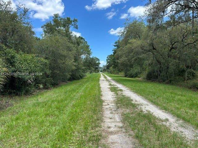130 Brida - Photo 1