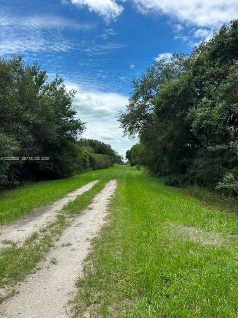 https://bt-photos.global.ssl.fastly.net/miami/orig_boomver_1_A12023802-2.jpg