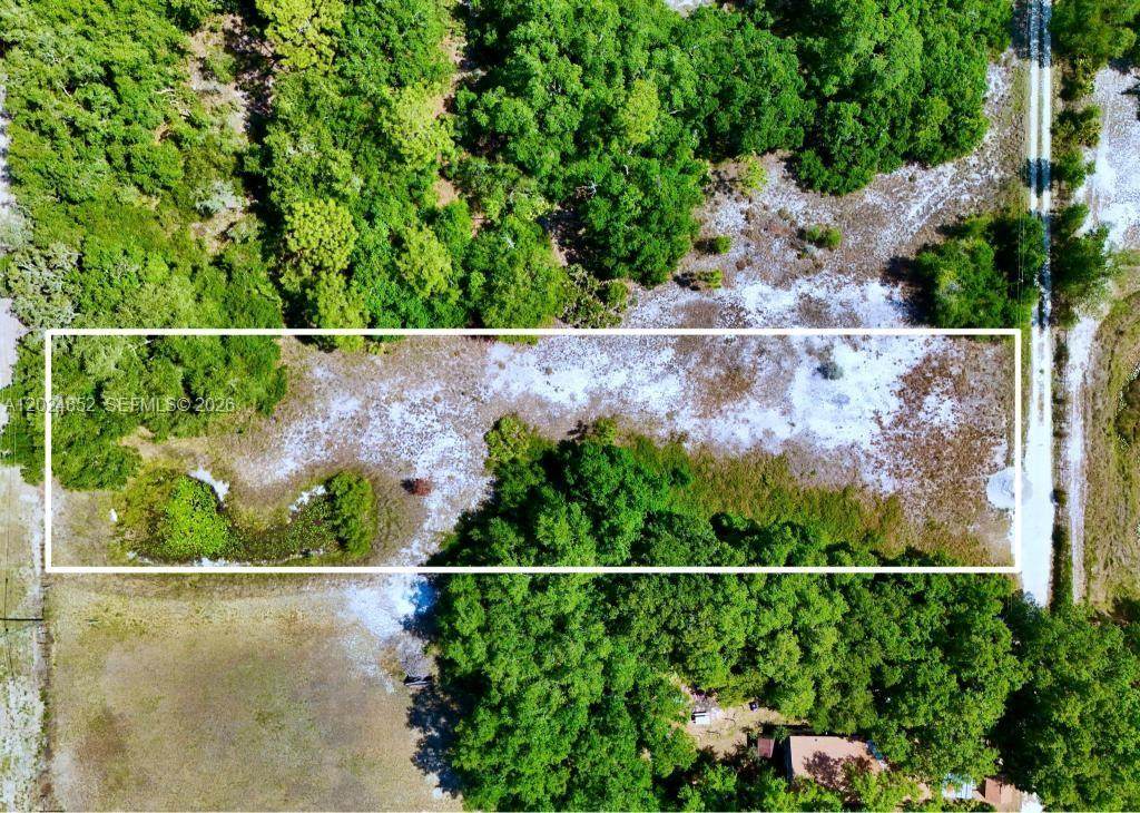 3175 Walk In Water Rd - Photo 1