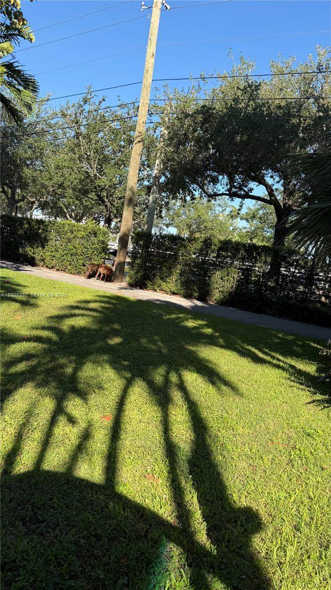 https://bt-photos.global.ssl.fastly.net/miami/1280_boomver_1_A12035392-2.jpg