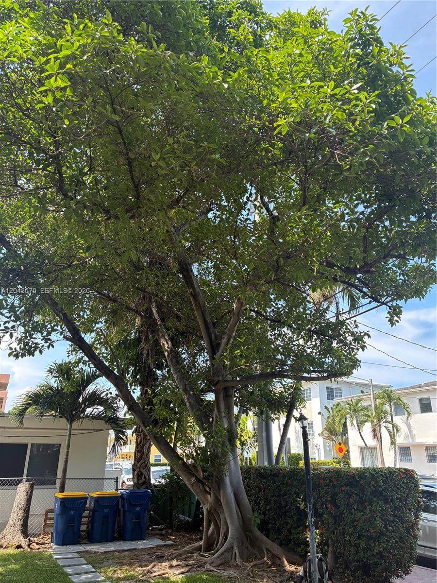 https://bt-photos.global.ssl.fastly.net/miami/orig_boomver_1_A12048670-2.jpg