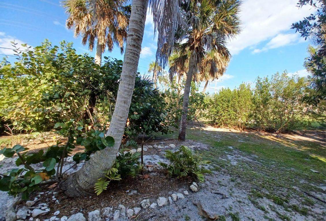 https://bt-photos.global.ssl.fastly.net/miami/1280_boomver_1_A12063684-2.jpg