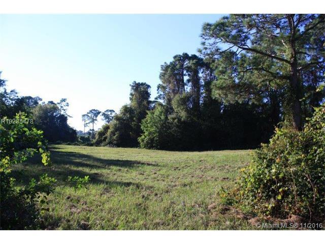3403 Golden Lane - Photo 1