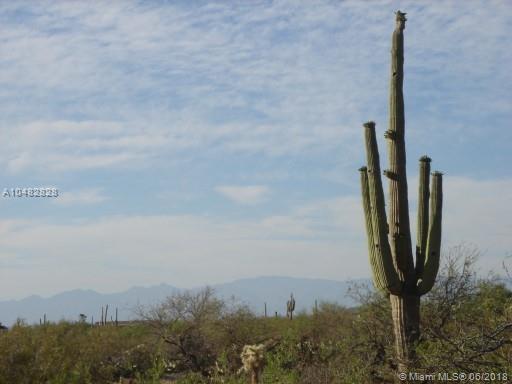 6744 Camino Aurelia - Photo 1