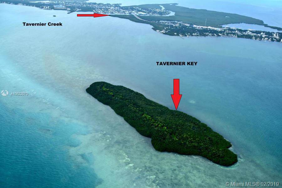 000 Tavernier - Photo 1