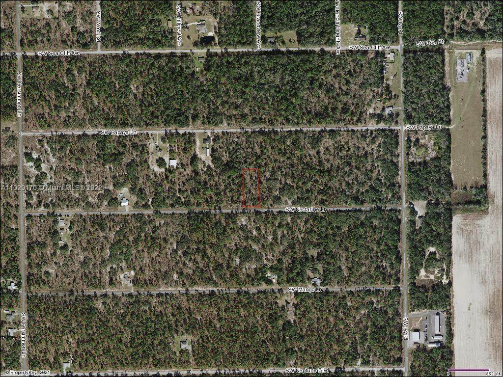 Lot 39 Nectarine Ln - Photo 1