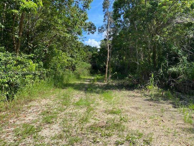 394xx 197 Avenue - Photo 1
