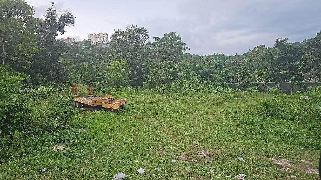 00 Rio Neuvo, St Mary Jamaica - Photo 1