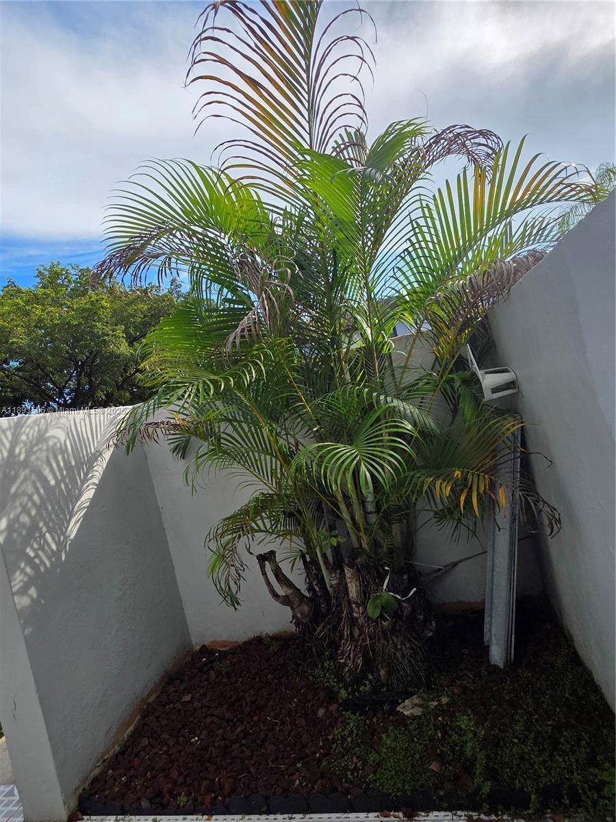 https://bt-photos.global.ssl.fastly.net/miami/orig_boomver_2_A11893506-2.jpg
