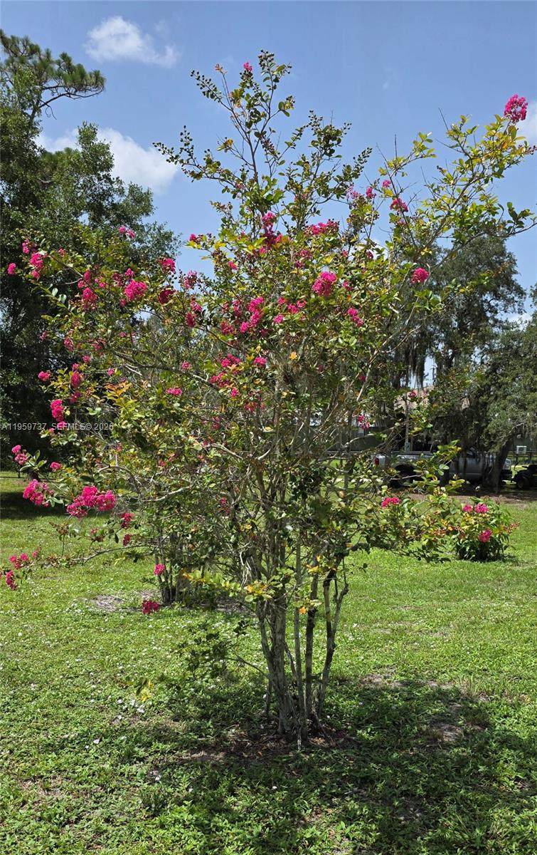 https://bt-photos.global.ssl.fastly.net/miami/1280_boomver_2_A11959737-2.jpg