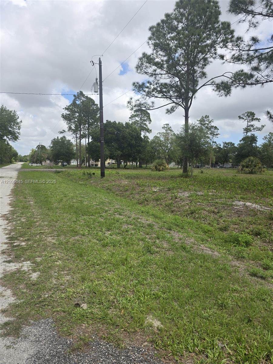 165 Olivo St - Photo 1