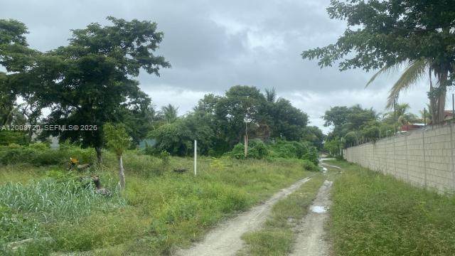  0 - Photo 1