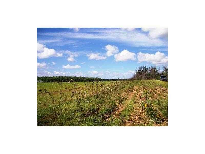 25251 167 AVE - Photo 1
