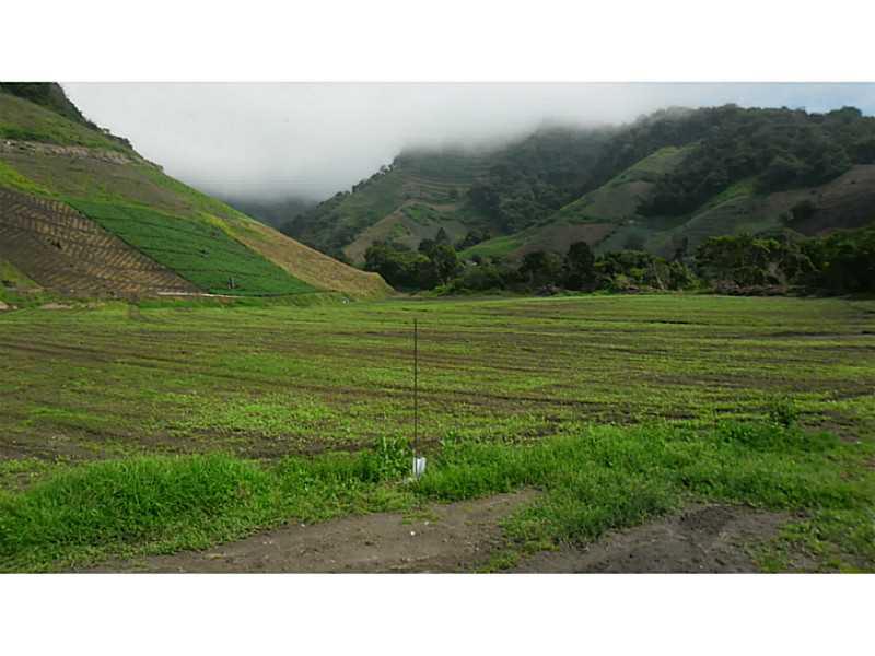 Farm - Photo 1