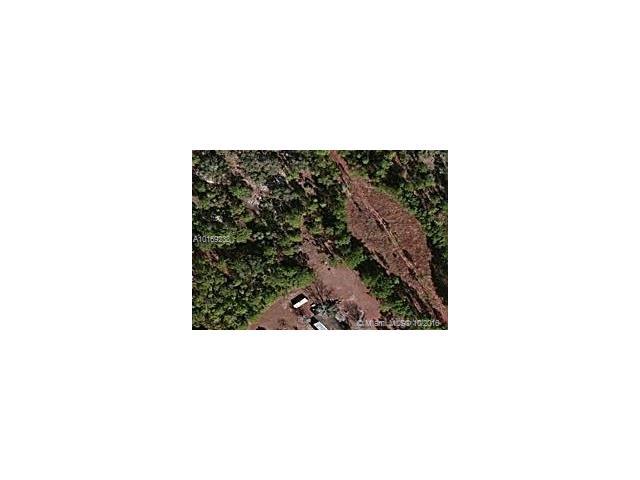 114 Brass St - Photo 1