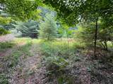 Lot #4 Bellinger Road - Photo 19