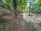 Lot #4 Bellinger Road - Photo 20