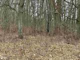 494 Barnes Lake Road - Photo 20