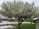 1390 Flushing Road - Photo 33