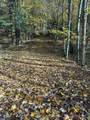 0 Fritz Road - Photo 13