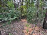 Lot #1 Bellinger Road - Photo 9