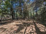 N/A Forest Lake Drive - Photo 7